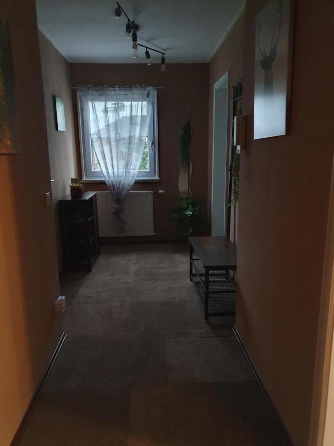 Ferienwohnung Am Siegelbaechle Mit E-Bikes Vermietung Gutach im Breisgau Esterno foto