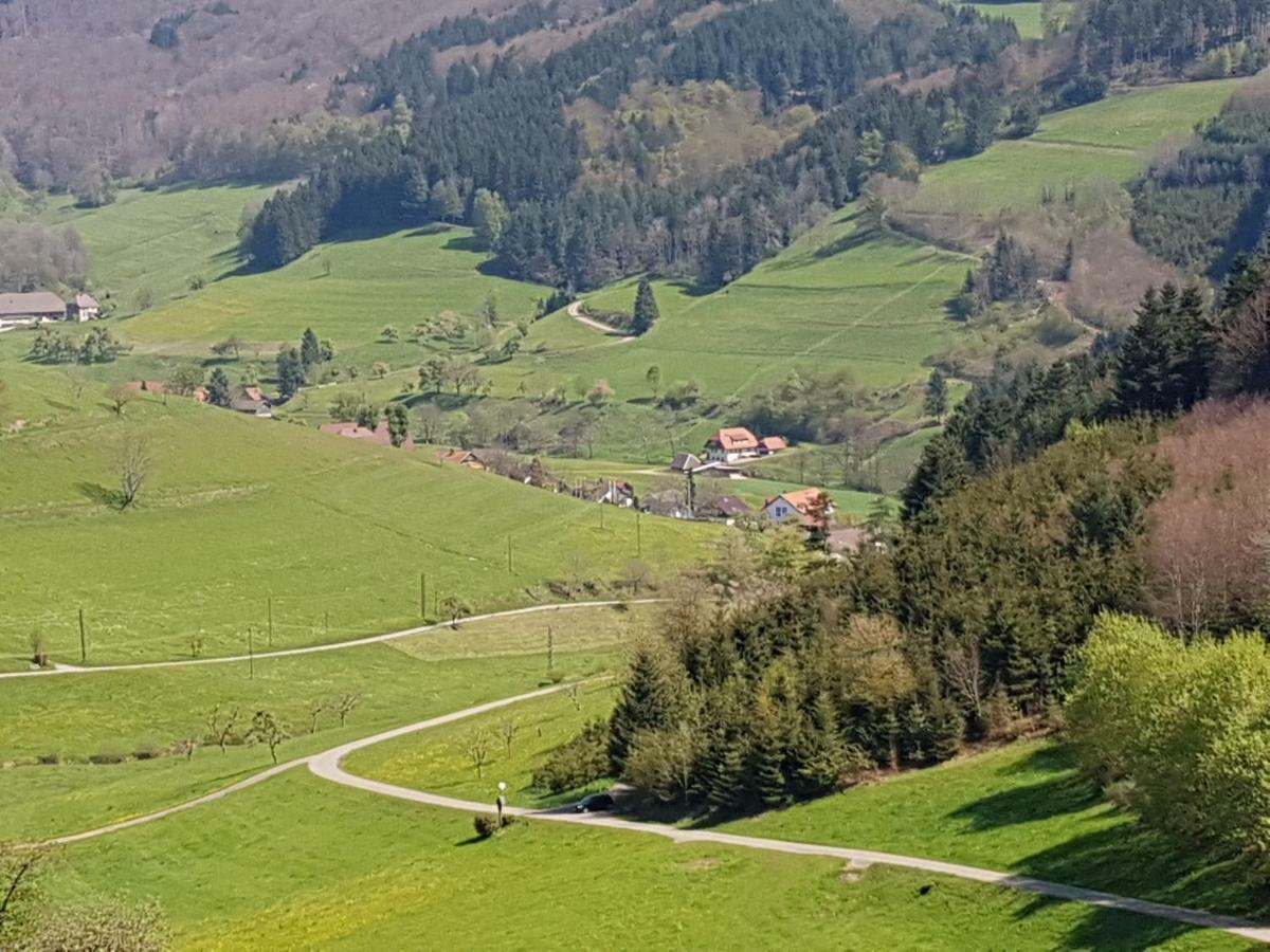 Ferienwohnung Am Siegelbaechle Mit E-Bikes Vermietung Gutach im Breisgau Esterno foto